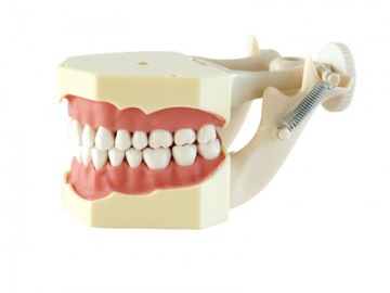 HST-A7SF型教學(xué)模型 HST-A7SF型教學(xué)模型